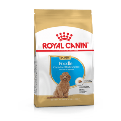 ROYAL CANIN POODLE PUPPY - 3 KG