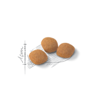 ROYAL CANIN EXIGENT PROTEIN PREFERENCE - 400 GR ROYAL CANIN EXIGENT PROTEIN PREFERENCE - 400 GR