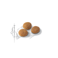 ROYAL CANIN AROMA EXIGENT - 400GR