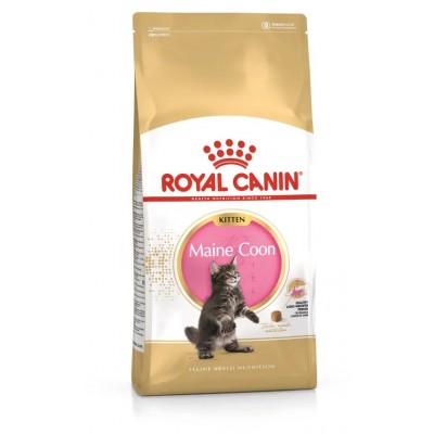 ROYAL CANIN KITTEN MAINE COON  -10KG