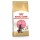 ROYAL CANIN KITTEN MAINE COON  -4KG