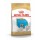 ROYAL CANIN FRENCH BULLDOG PUPPY - 10 KG