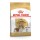 ROYAL CANIN CAO CAVALIER KING CHARLES ADULT - 3 KG