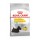 ROYAL CANIN CAO MINI DERMACOMFORT - 3 KG