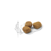 ROYAL CANIN GATO INDOOR 7+ - 1.5 KG ROYAL CANIN GATO INDOOR 7+ - 1.5 KG