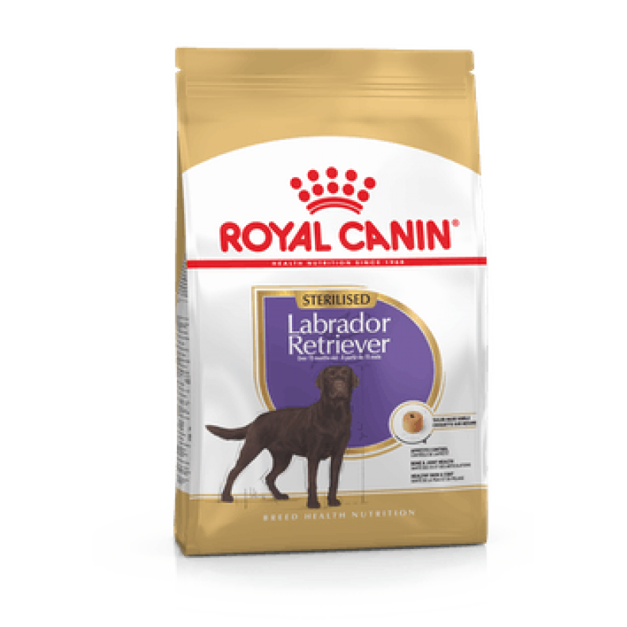 ROYAL CANIN CAO LABRADOR RETRIEVER ADULT STERILISED - 12KG ROYAL CANIN CAO LABRADOR RETRIEVER ADULT STERILISED - 12KG