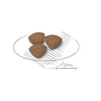 ROYAL CANIN MINI PUPPY - 2 KG ROYAL CANIN MINI PUPPY - 2 KG