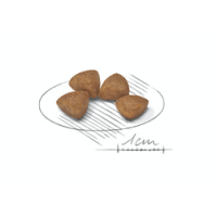 ROYAL CANIN X-SMALL PUPPY - 3 KG ROYAL CANIN X-SMALL PUPPY - 3 KG