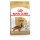 ROYAL CANIN CAO COCKER ADULT  - 12 KG