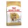 ROYAL CANIN CAO BEAGLE ADULT - 12KG