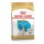 ROYAL CANIN JACK RUSSELL TERRIER PUPPY - 3 KG