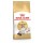 ROYAL CANIN GATO RAGDOLL- 2KG