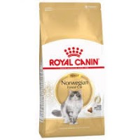 ROYAL CANIN GATO NORWEGIAN FOREST CAT - 10KG ROYAL CANIN GATO NORWEGIAN FOREST CAT - 10KG