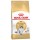 ROYAL CANIN GATO NORWEGIAN FOREST CAT - 10KG