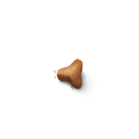 ROYAL CANIN GATO NORWEGIAN FOREST CAT - 10KG ROYAL CANIN GATO NORWEGIAN FOREST CAT - 10KG