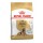ROYAL CANIN CAO GERMAN SHEPHARD ADULT 5+ - 12KG