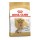 ROYAL CANIN CAO YORKSHIRE TERRIER ADULT 8+ - 1,5 KG