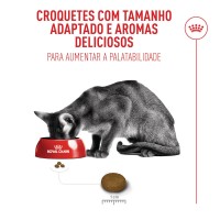 ROYAL CANIN GATO FUSSY EXIGENT- 4 KG ROYAL CANIN GATO FUSSY EXIGENT- 4 KG