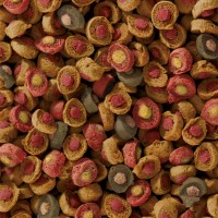 SERA KOI ALL SEASONS PROBIOTIC - 7KG SERA KOI ALL SEASONS PROBIOTIC - 7KG