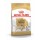 ROYAL CANIN CAO LABRADOR RETRIEVER ADULT - 12 KG