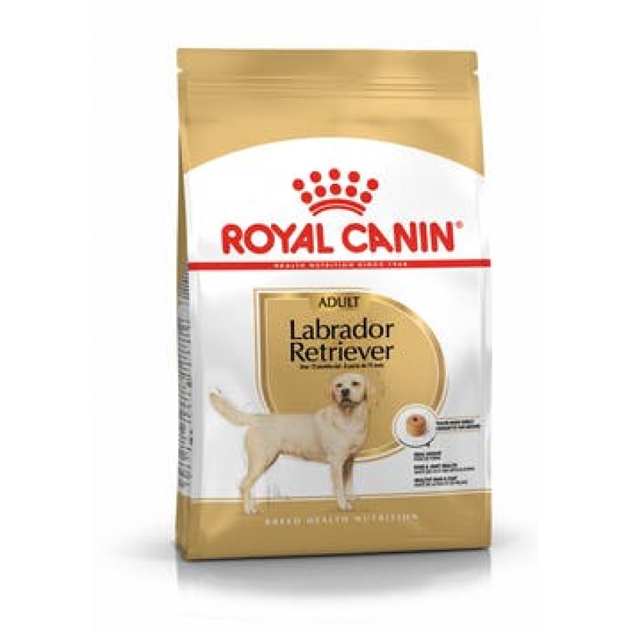 ROYAL CANIN CAO LABRADOR RETRIEVER ADULT - 12 KG ROYAL CANIN CAO LABRADOR RETRIEVER ADULT - 12 KG