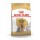 ROYAL CANIN CAO YORKSHIRE TERRIER ADULT - 1.5 KG