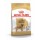ROYAL CANIN CAO GOLDEN RETRIEVER ADULT - 12 KG
