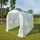 ESTUFA AGRICOLA ECO 4 X 2 MT