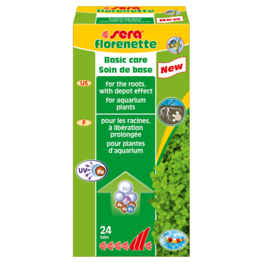 SERA FLORENETTE A SERA FLORENETTE A