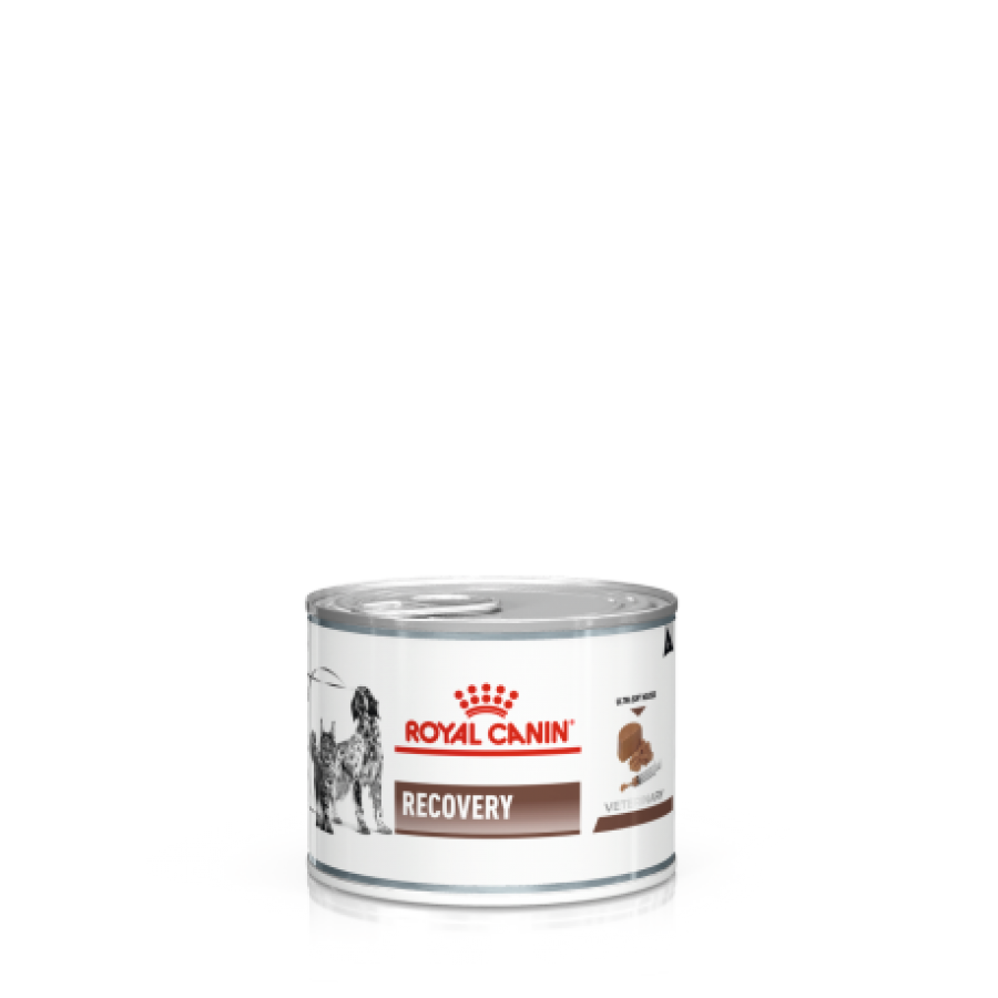 ROYAL CANIN VET WET CAO/GATO RECOVERY (12X195G) ROYAL CANIN VET WET CAO/GATO RECOVERY (12X195G)