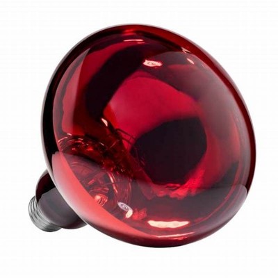 LAMPADA DE AQUECIMENTO 150 WT