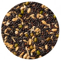 PETCUP GERMINADO P/CANARIOS - 20 KG PETCUP GERMINADO P/CANARIOS - 20 KG