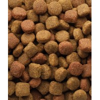 VERSELE LAGA CLASSIC DUO KROK CAO ADULTO - 20KG VERSELE LAGA CLASSIC DUO KROK CAO ADULTO - 20KG
