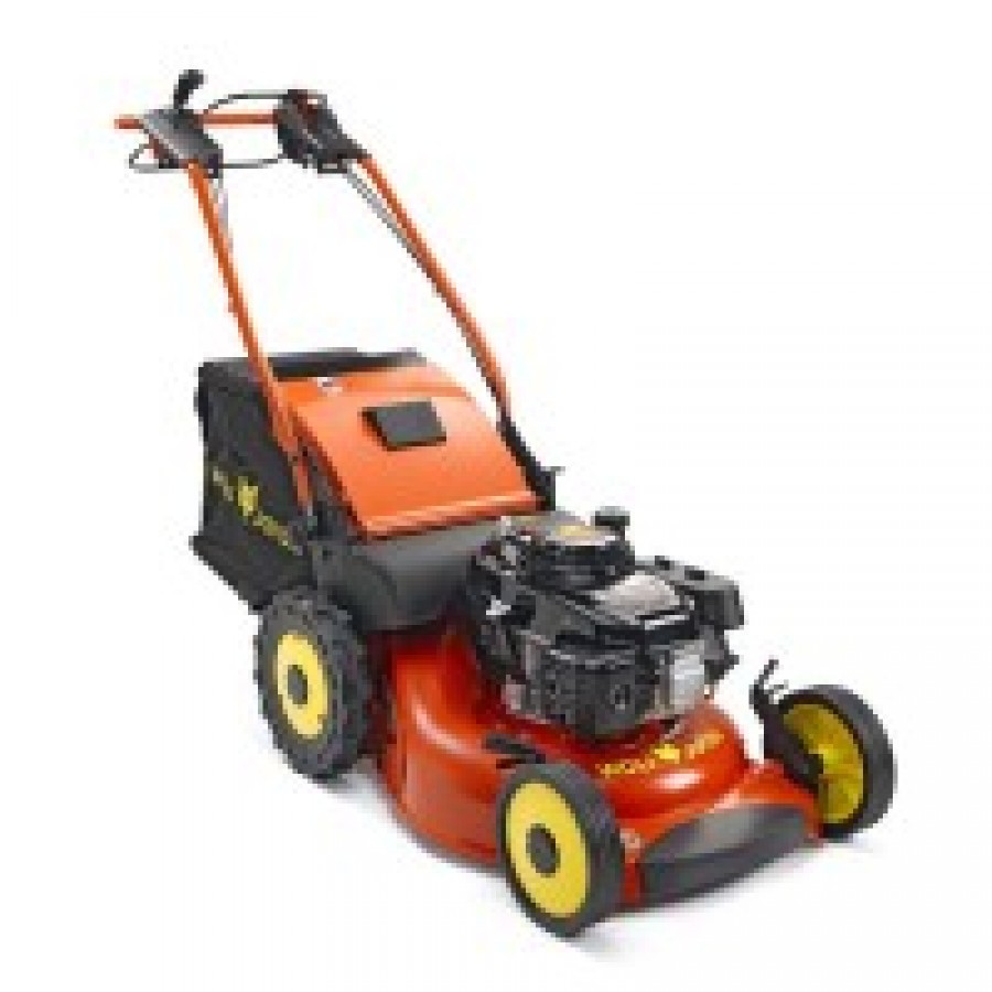 WOLF CORTA RELVAS RT53 X1