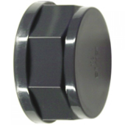 RAIN BIRD TAMPAO FEMEA PVC 1"