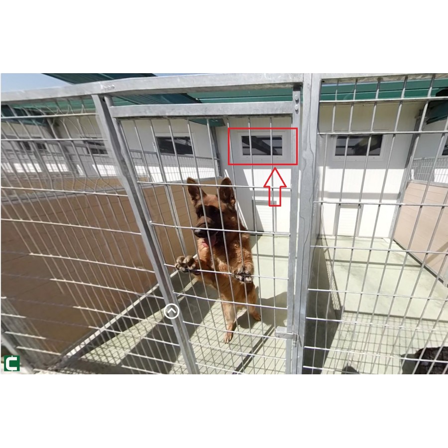 RESID-DOGS JANELA MONTADA DUPLO CRISTAL 1000X500 CM RESID-DOGS JANELA MONTADA DUPLO CRISTAL 1000X500 CM