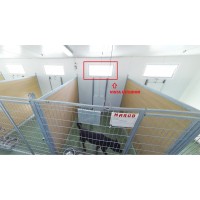 RESID-DOGS JANELA MONTADA DUPLO CRISTAL 1000X500 CM RESID-DOGS JANELA MONTADA DUPLO CRISTAL 1000X500 CM
