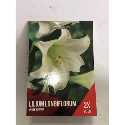 S.BOLBO SAQUETA COPOS DE LEITE BRANCO-2 BOLBOS