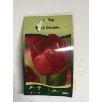 S.BOLBO SAQUETA TULIPA MULTIFLOR S.BOLBO SAQUETA TULIPA MULTIFLOR
