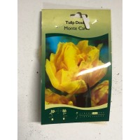 S.BOLBO SAQUETA TULIPA MULTIFLOR S.BOLBO SAQUETA TULIPA MULTIFLOR
