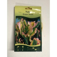 S.BOLBO SAQUETA TULIPA MULTIFLOR S.BOLBO SAQUETA TULIPA MULTIFLOR