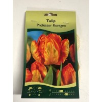 S.BOLBO SAQUETA TULIPA MULTIFLOR S.BOLBO SAQUETA TULIPA MULTIFLOR