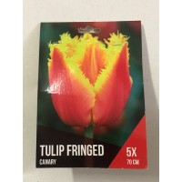 S.BOLBO SAQUETA TULIPA MULTIFLOR S.BOLBO SAQUETA TULIPA MULTIFLOR