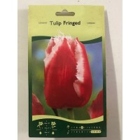 S.BOLBO SAQUETA TULIPA MULTIFLOR S.BOLBO SAQUETA TULIPA MULTIFLOR