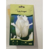 S.BOLBO SAQUETA TULIPA MULTIFLOR S.BOLBO SAQUETA TULIPA MULTIFLOR