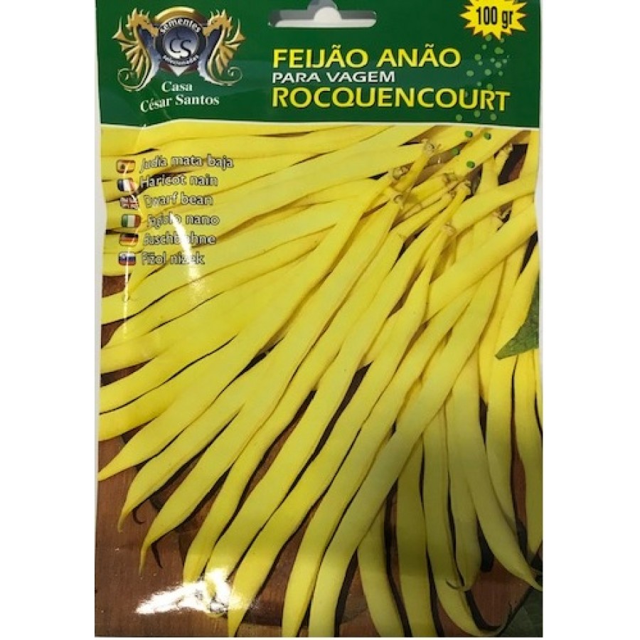 S.FEIJAO CCS ANAO ROCQUENCOURT- CX 100GR S.FEIJAO CCS ANAO ROCQUENCOURT- CX 100GR