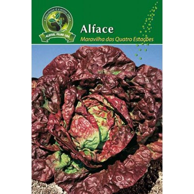 S.ALFACE ALEIXO MARAVILHA 4 ESTACOES- CARTEIRA
