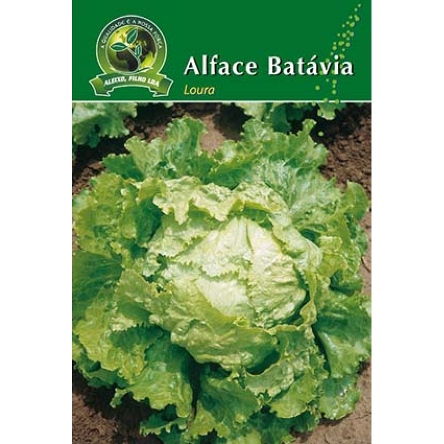 S.ALFACE ALEIXO BATAVIA LOURA-CARTEIRA S.ALFACE ALEIXO BATAVIA LOURA-CARTEIRA