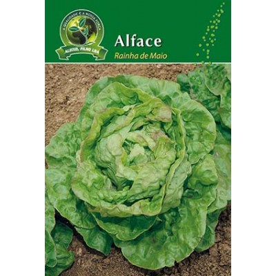 S.ALFACE ALEIXO RAINHA DE MAIO-CARTEIRA