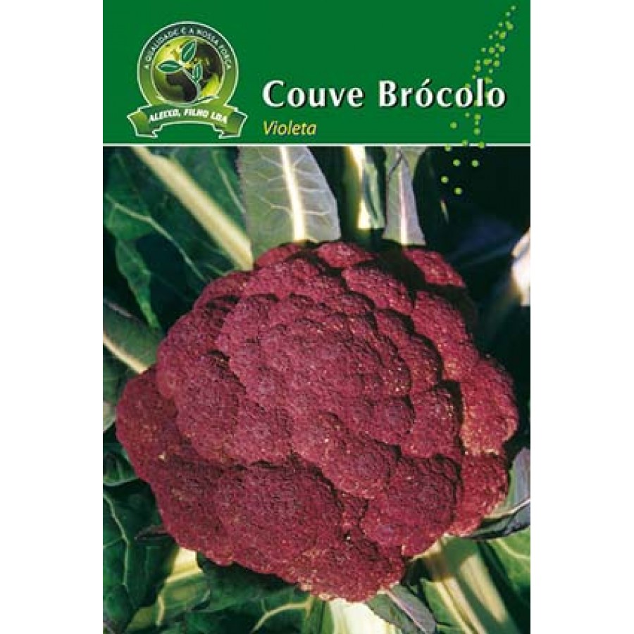 S.COUVE BROCULO VIOLETA ALEIXO-CARTEIRA S.COUVE BROCULO VIOLETA ALEIXO-CARTEIRA